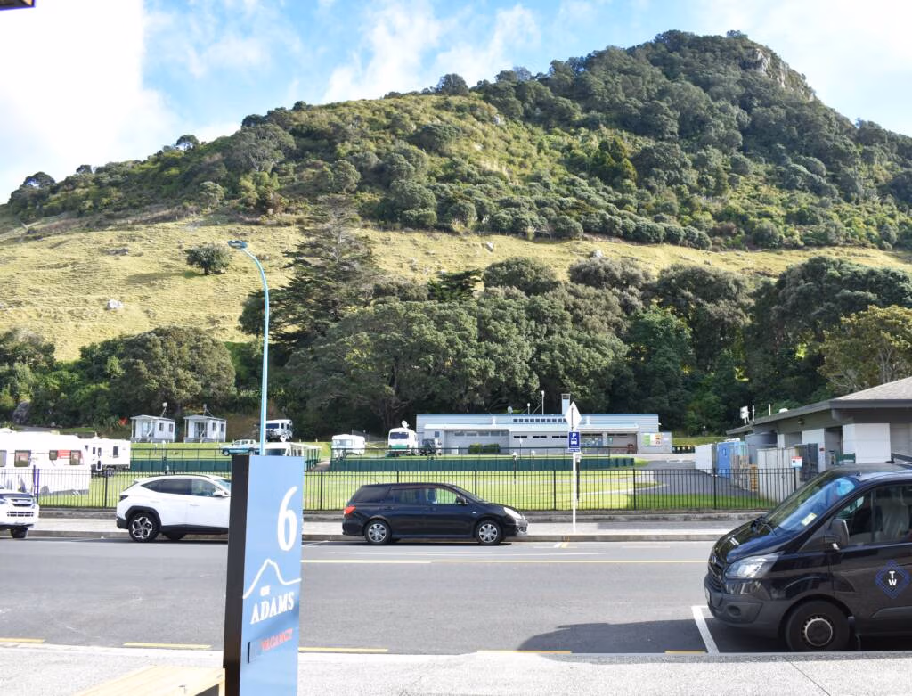 View at 6 on Adams Tauranga